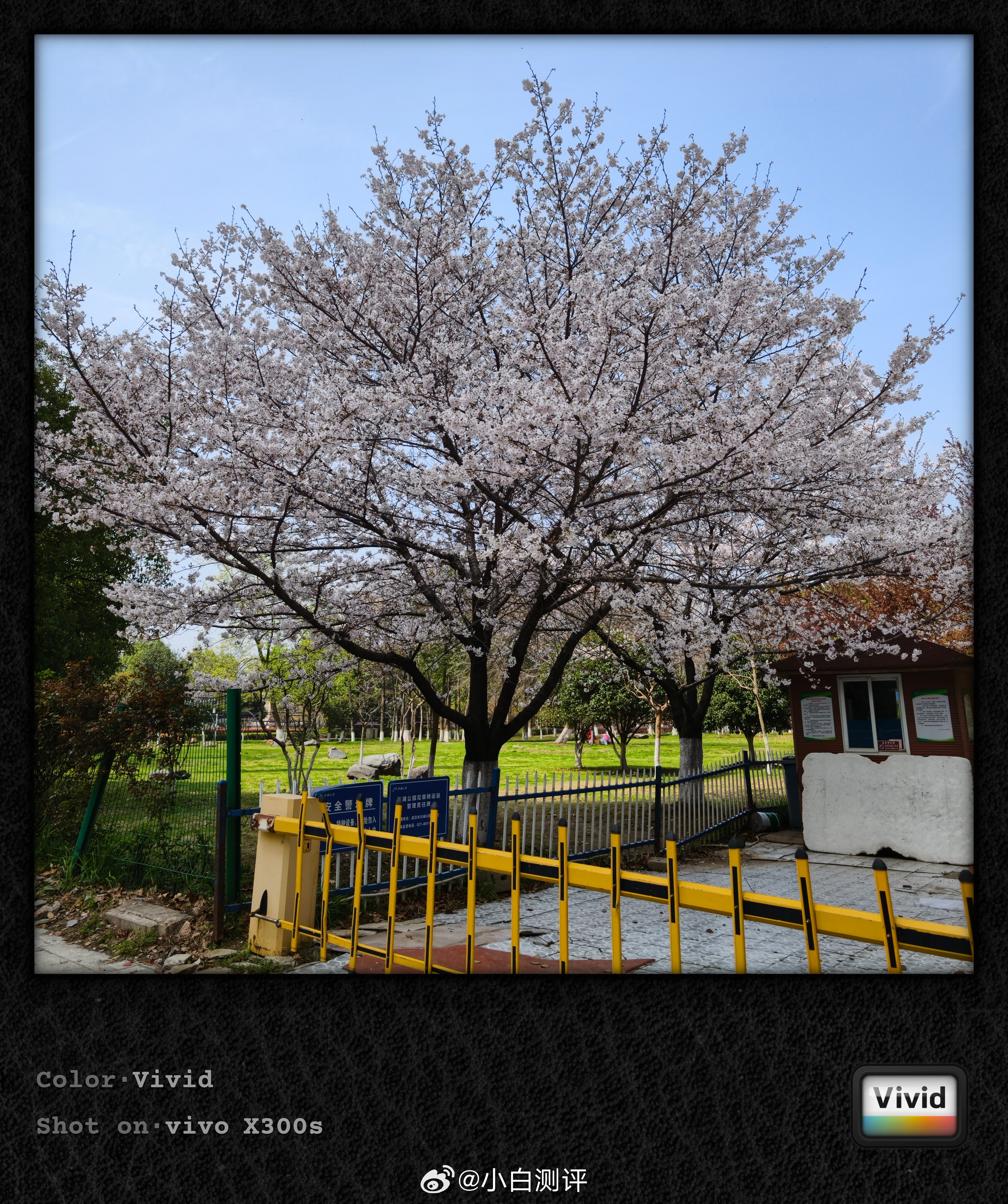 看看vivo  X300s的新水印不同色彩风格右下角小标不同～图1-9依次是鲜明