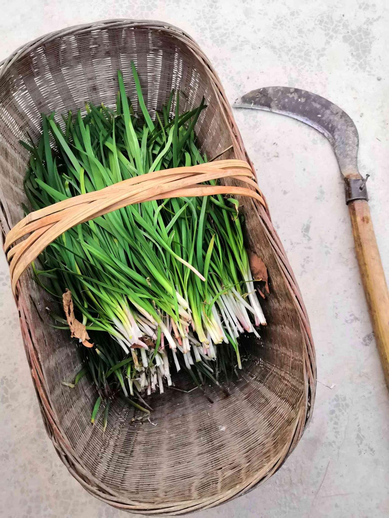 存款到期请继续存定期，不要炒股！常言道，股市如深渊，一入难回头；劝君莫炒股，安心