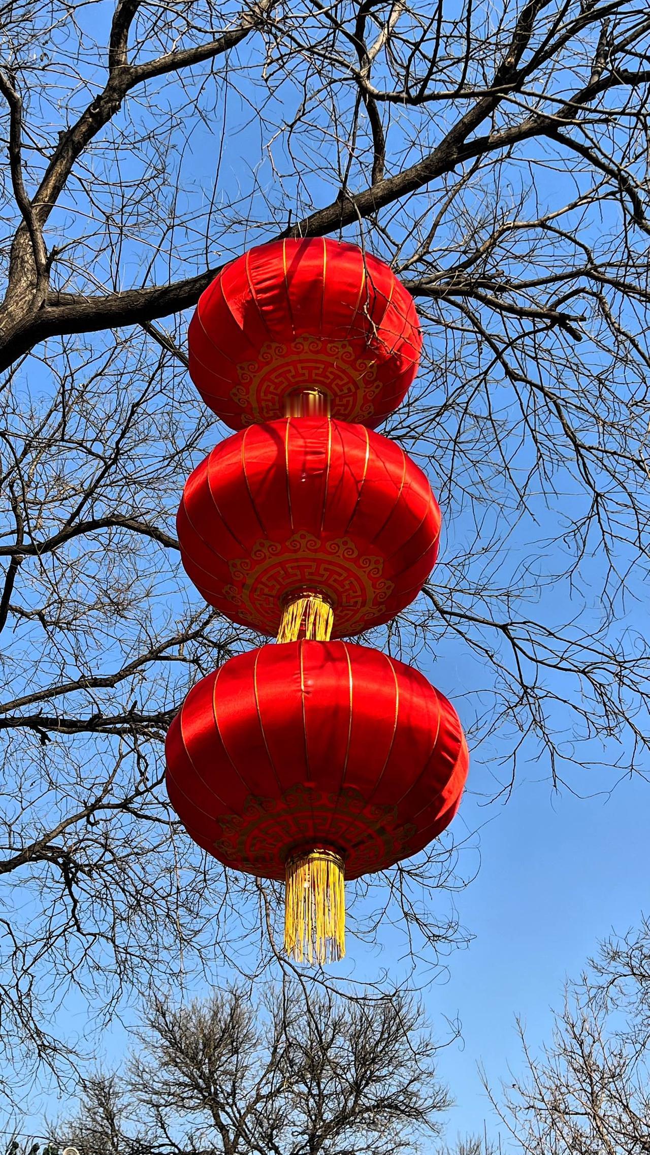 分享一下你随手拍下的照片