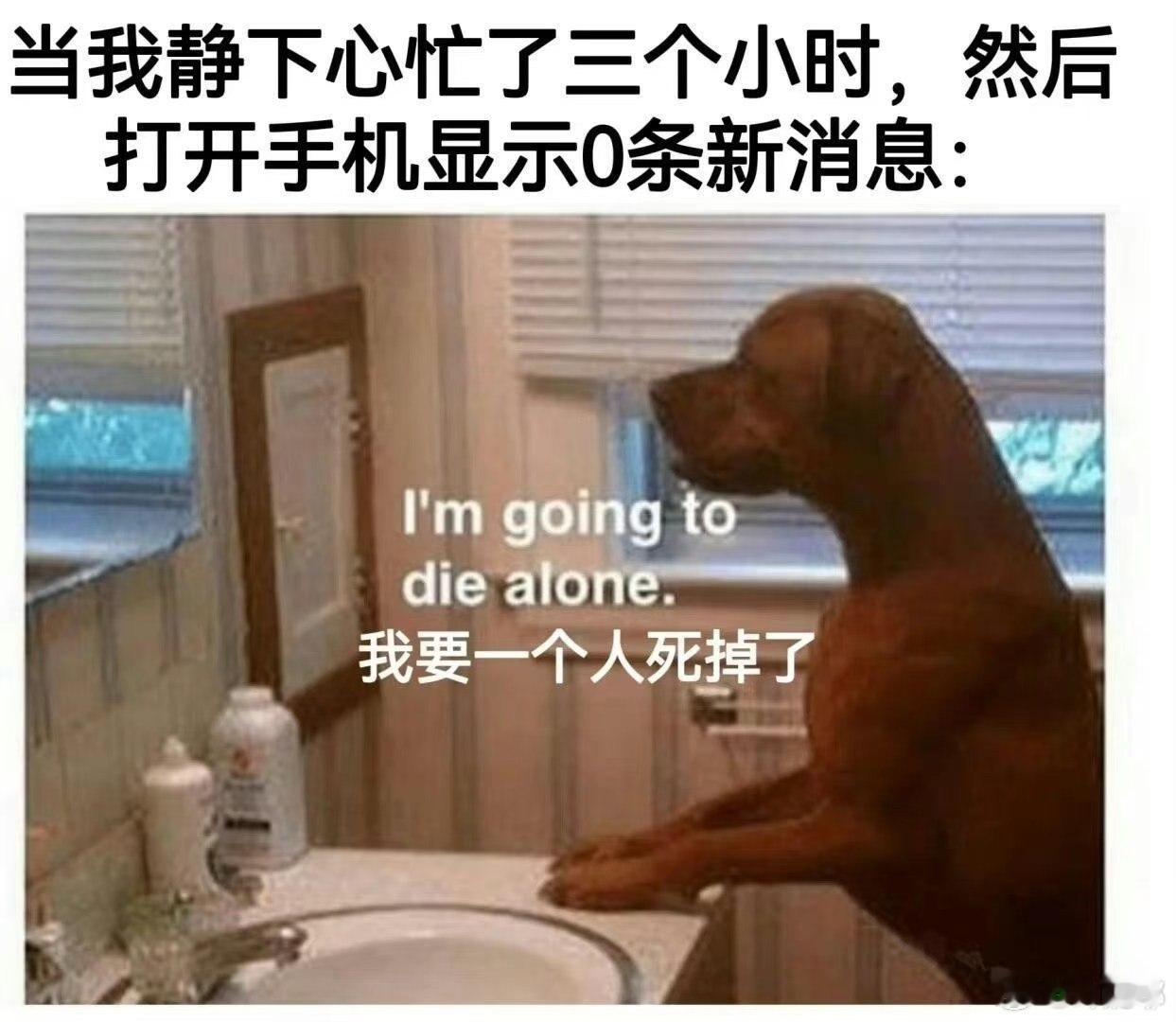 我本人………包括你 ​​​