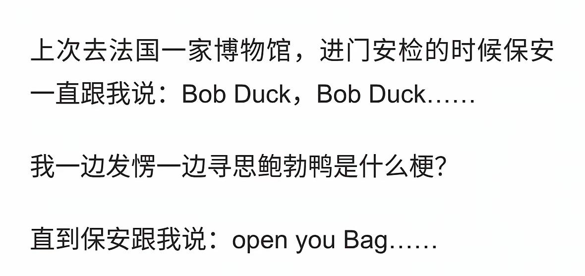 法国保安：Bob Duck，Bob DucK

鲍勃鸭……？