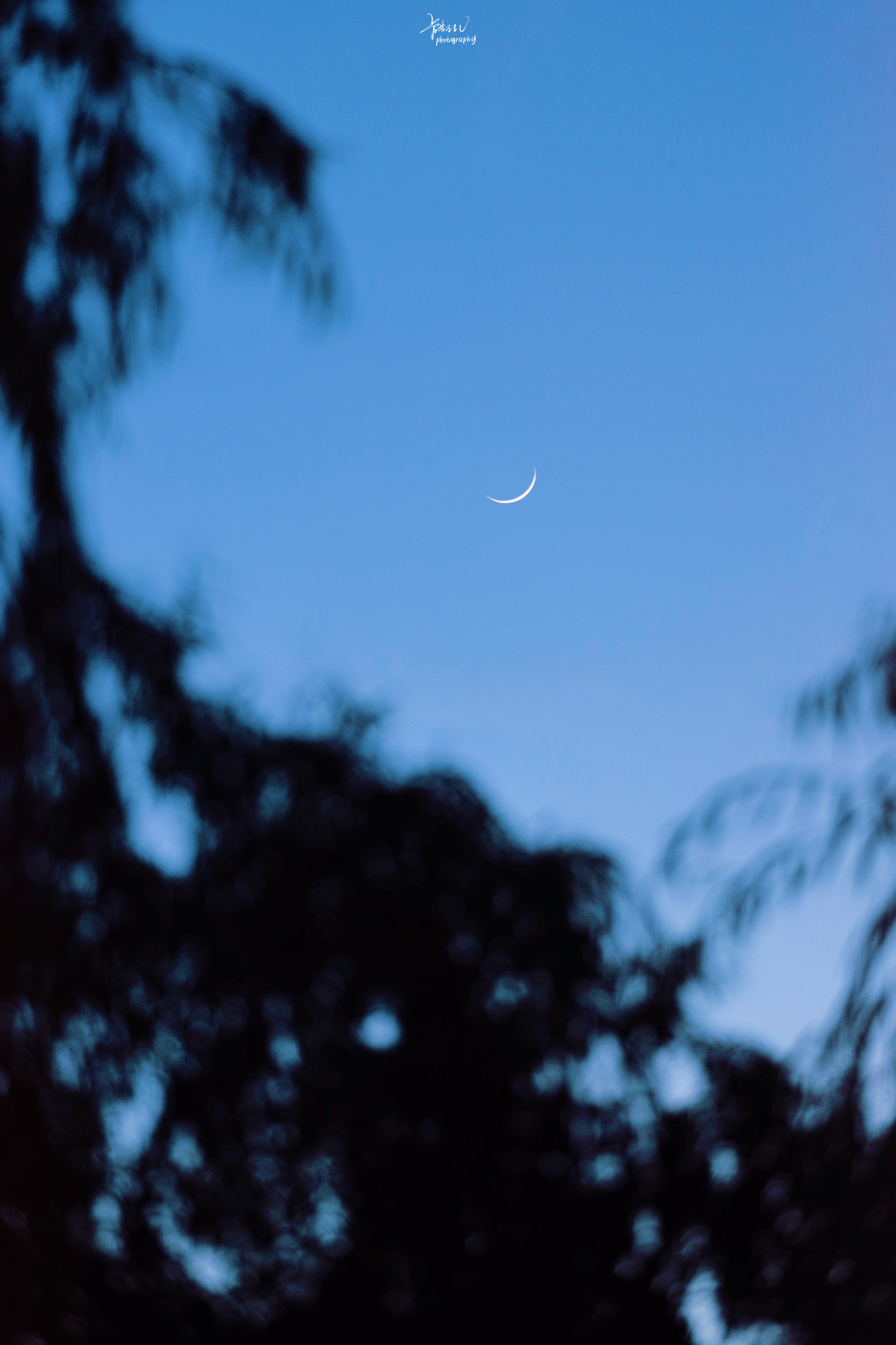 走吧 去夏夜的西湖旁吹吹晚风。 