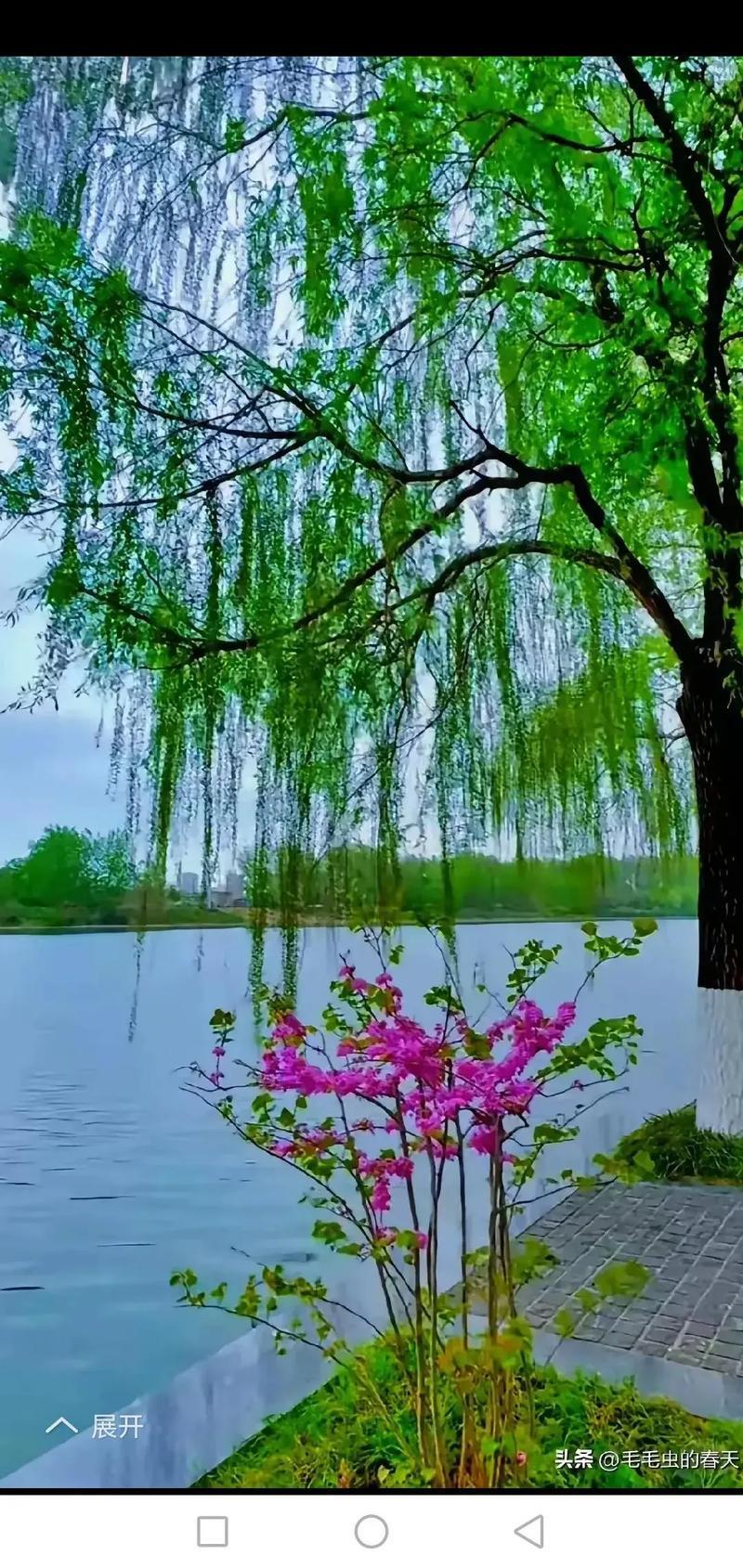 户外的治愈力量

从武大樱花的落英缤纷，到汉口江滩起飞的纸鸢，春日打卡的核心在于