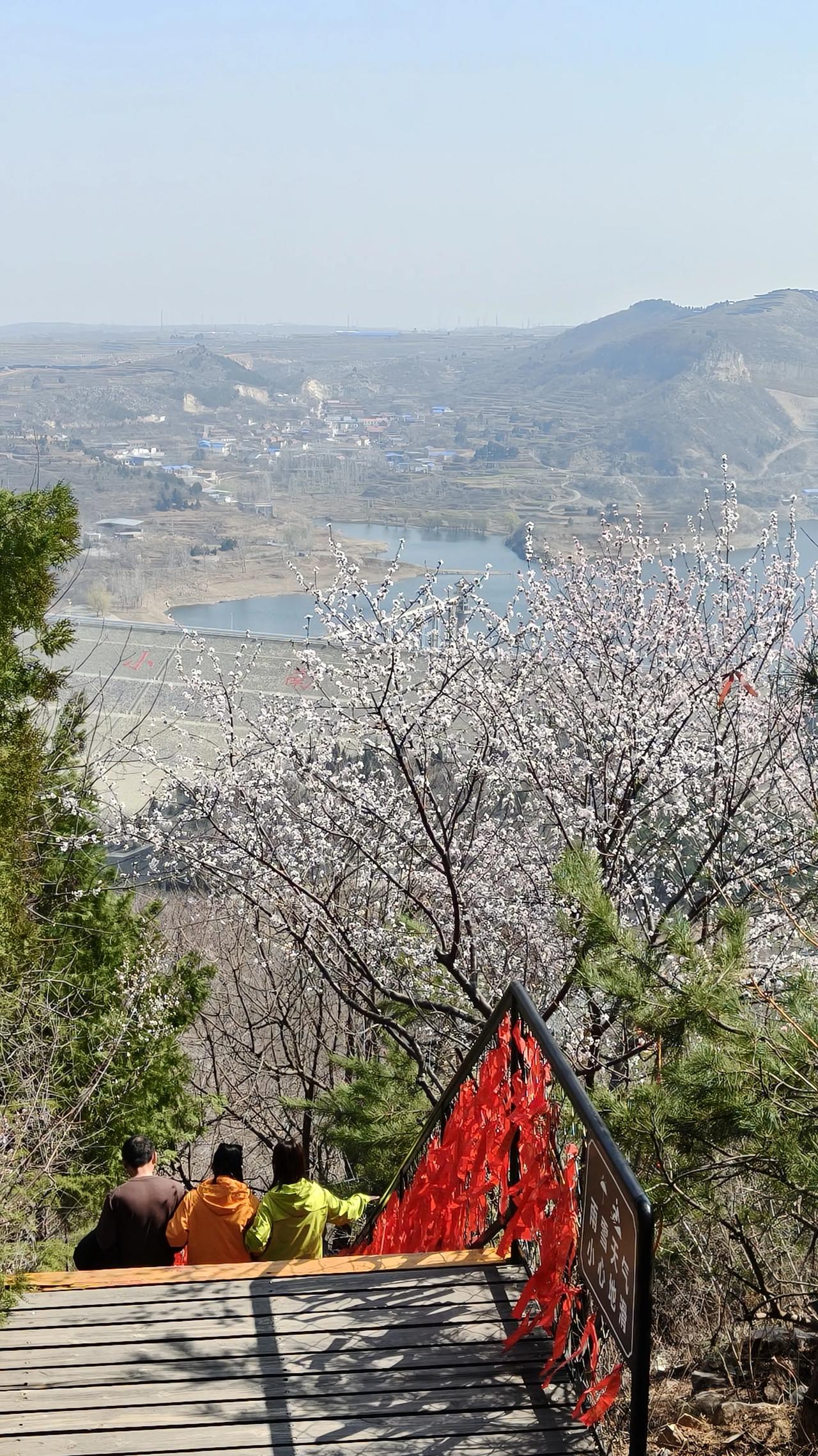 春天来了，山里面的杏花，樱桃花都开了，赏花去吧。