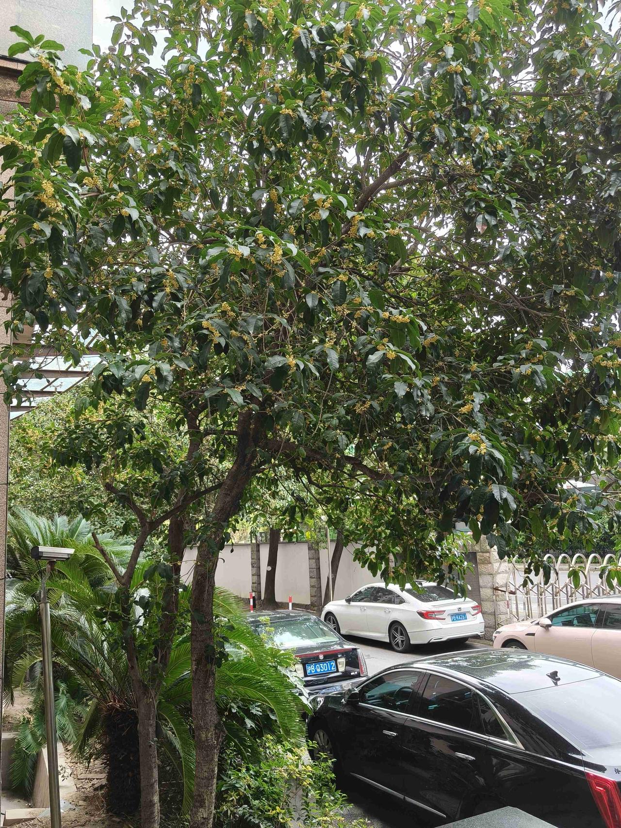 我的今日状态：😁轻松愉快
我这里的天气：🌤️多云