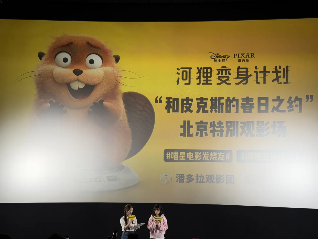 2026来年迪士尼皮克斯你就给我来个大的啊啊