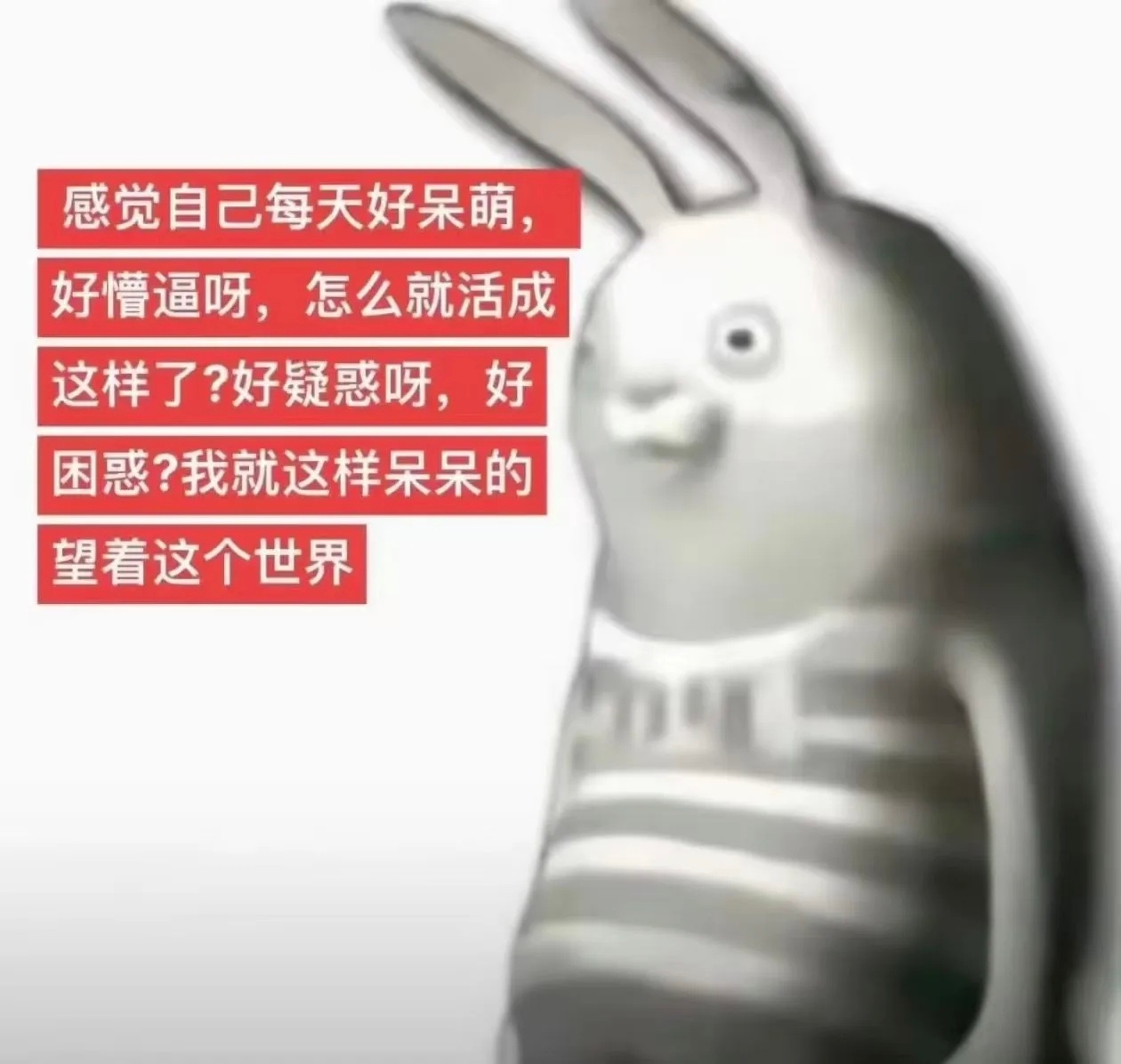 𝙒𝙚𝘾𝙝𝙖𝙩︳呆萌抽象头像 