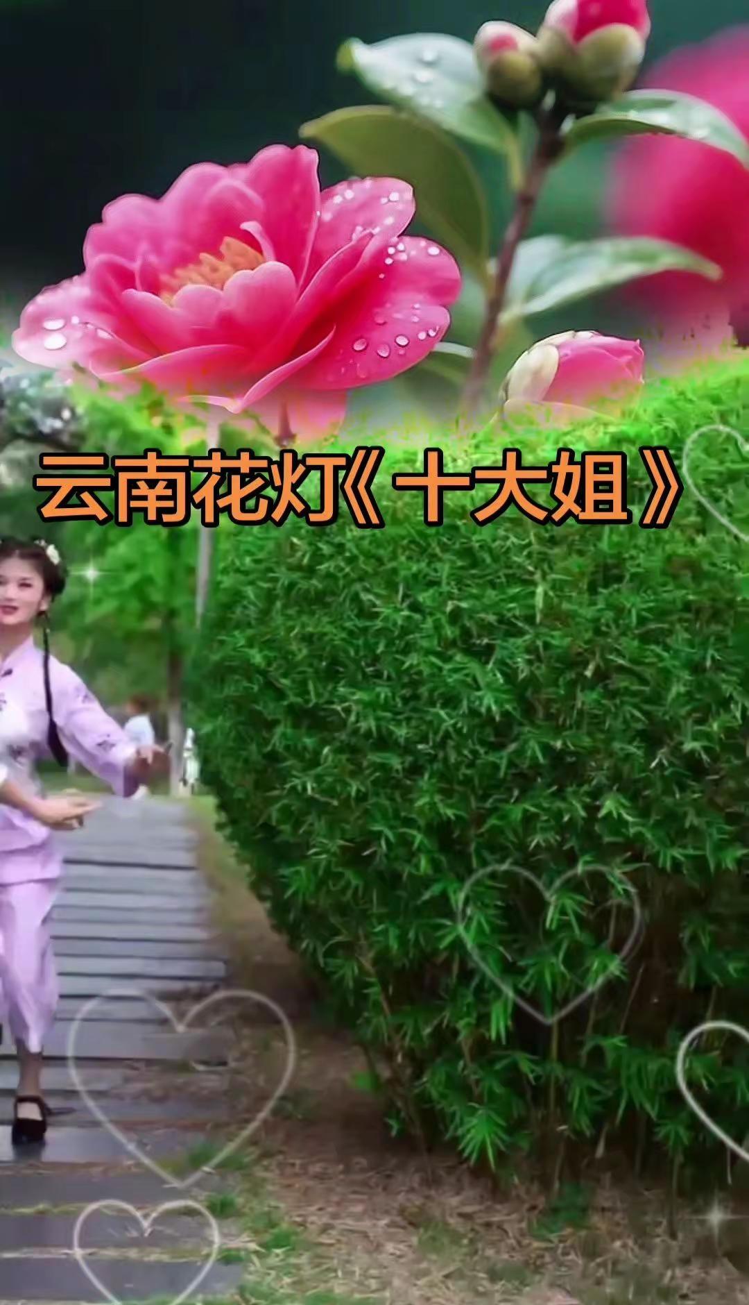 云南花灯歌舞《十大姐》，让人感受到云南的独特风情，让我们一起沉浸在这美妙的歌舞中