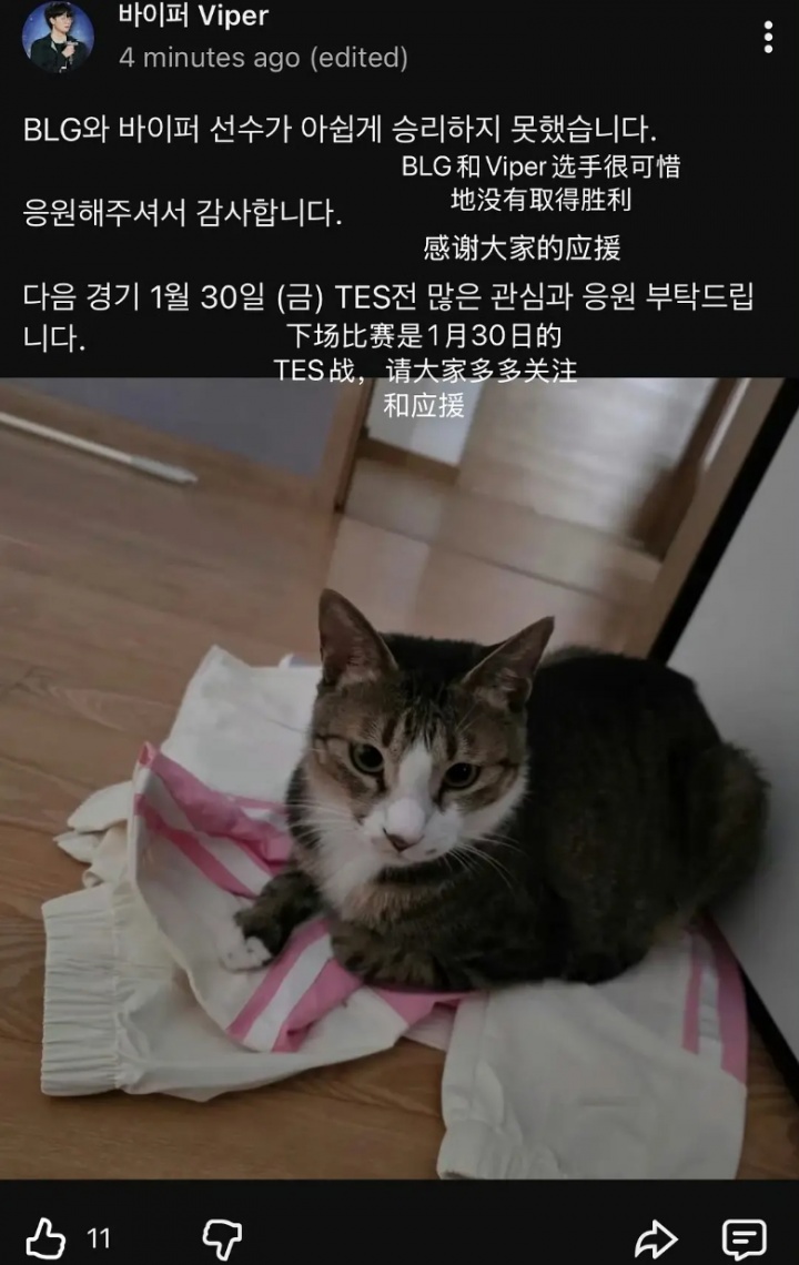 啥情况？网友讨论Viper韩国社媒运营赛后发图不妥 其宠物猫把BLG队服踩在脚下