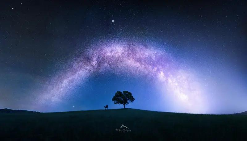 星光随笔 星光随笔
每到夜晚，一抬头瞧见满天星光，思绪就像没了缰绳的疯马，撒开蹄