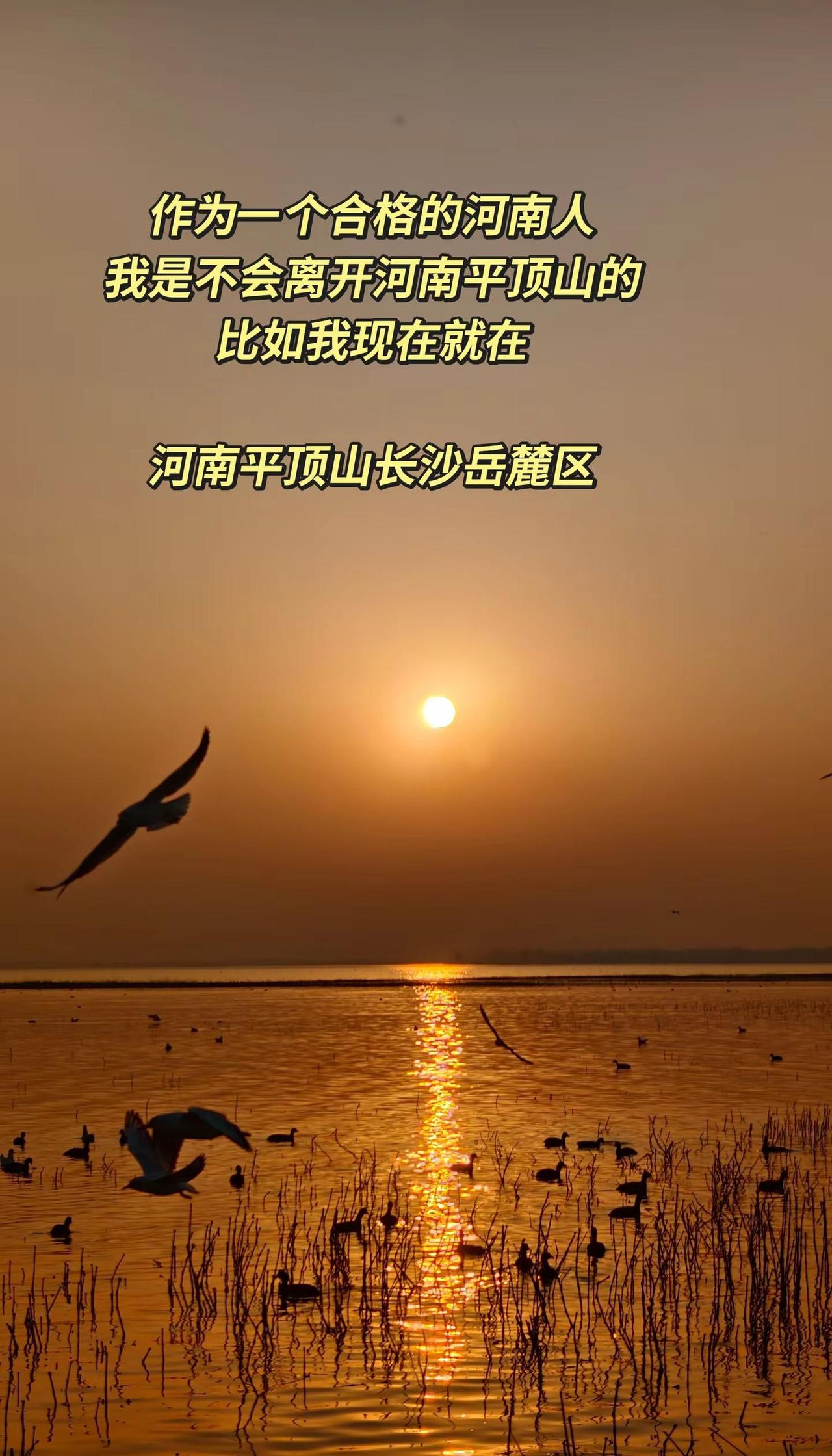 我在岳麓山下住   河南老乡你想爬岳麓山，我带你走小道，避免排队，直接登顶河南 