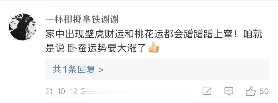 谢谢有安慰到家里🈶壁虎的存在 ​​​