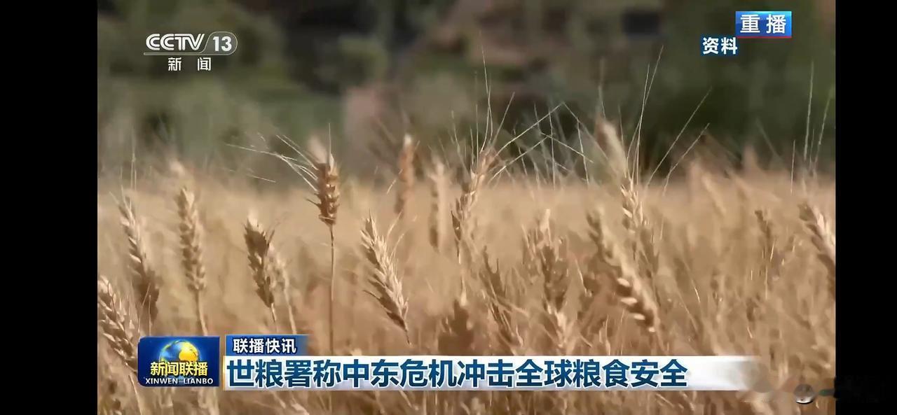 全球粮食安全面临中东危机，一粒粮食关乎生命！