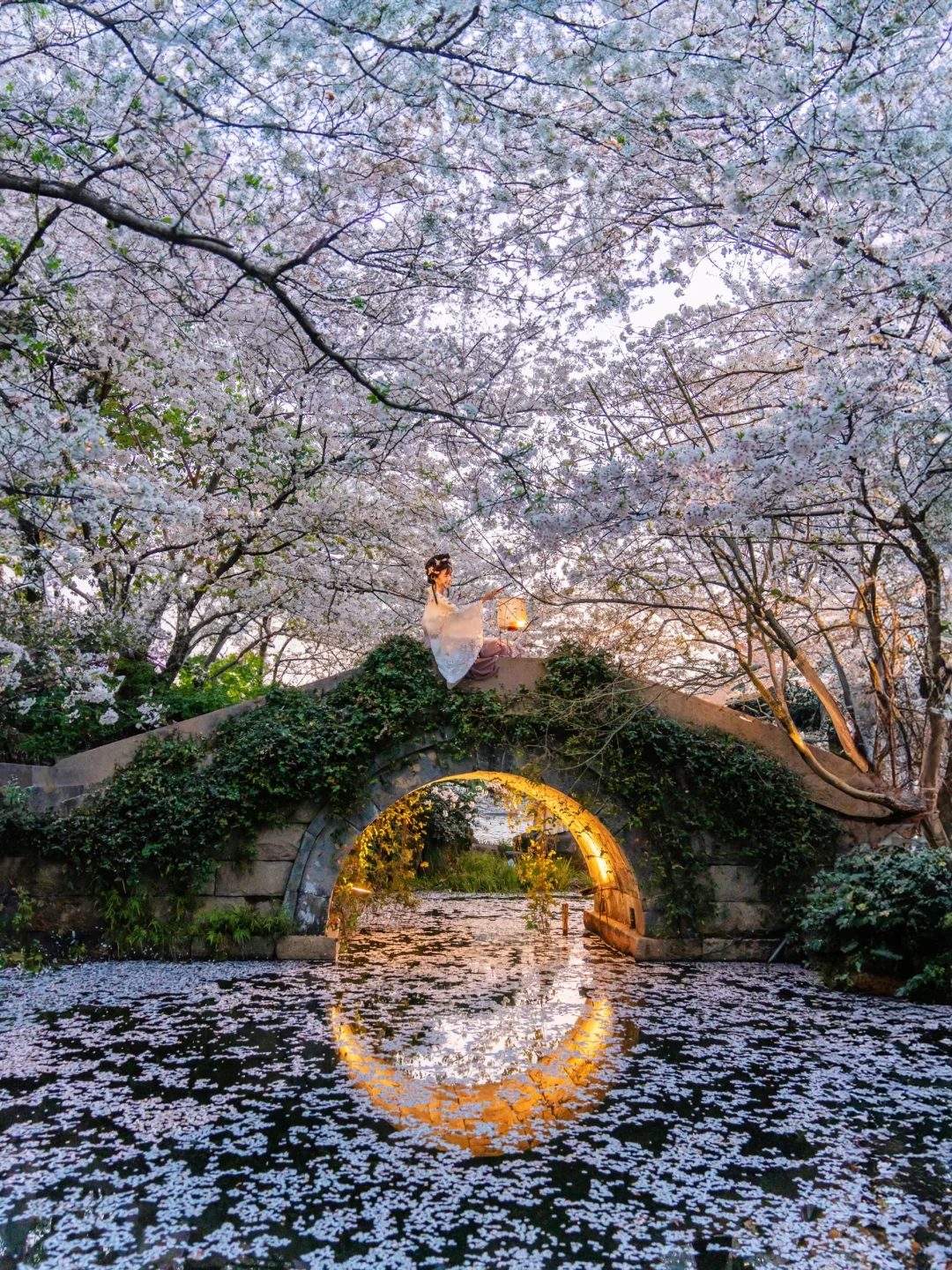 接下来的杭州是万万次的春和景明🌸