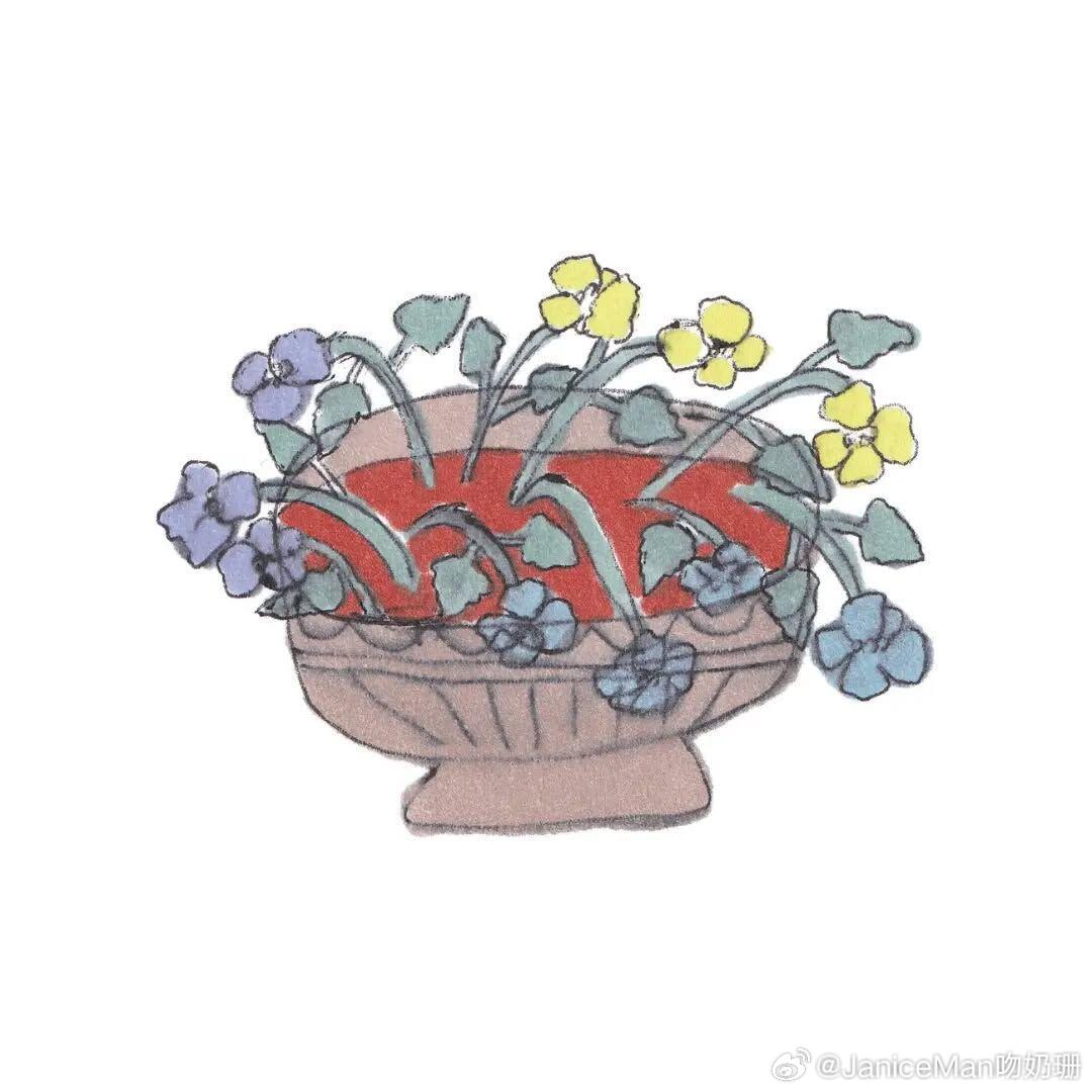 用心生活，保持热爱，总会有很多瞬间告诉你，生活温柔且浪漫，值得期待。 