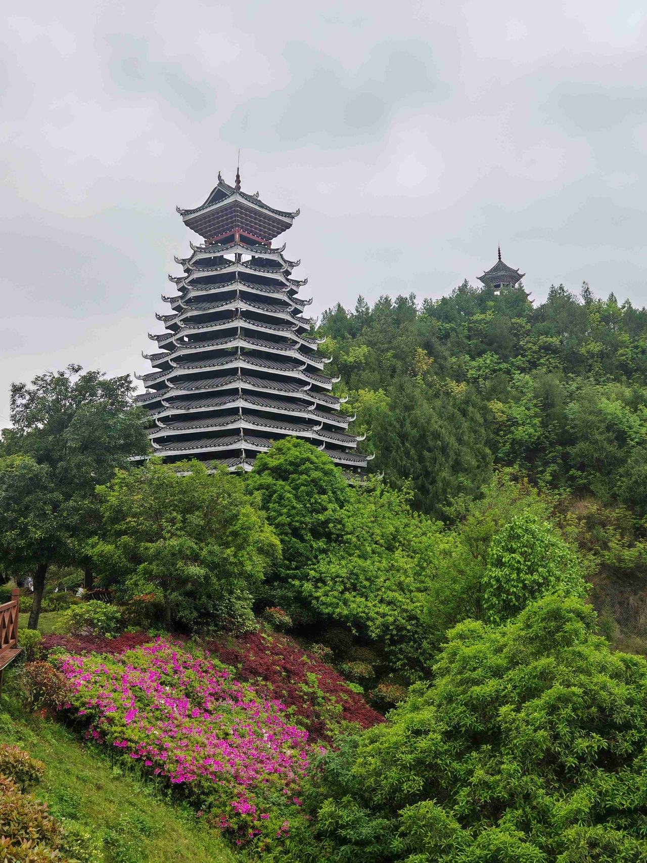 我的今日状态：😁轻松愉快
我这里的天气：☁️阴天
出门走走看看，到处都是绿色的