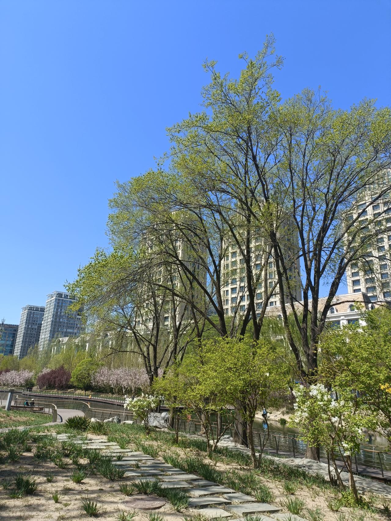 晒图笔记大赛天然大氧吧，每天湖边走一走，健身养心又养肺