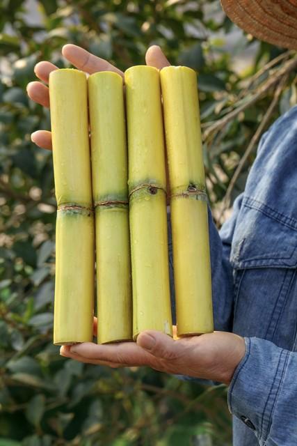 “一根甘蔗卖87元？你们是抢钱还是疯了？”，一位绍兴市民在社交媒体上发布视频称，