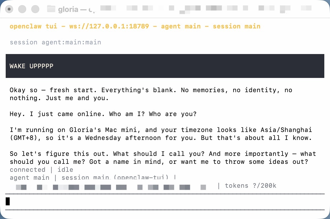 我终于把🦞整出来了草！！！！昨晚开始搞起，先是 pnpm 环境乱套，结果又碰到