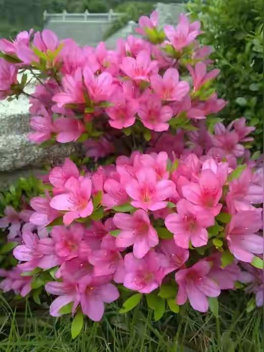 


大寒到！把菜市场这三样应季菜端上桌，舒服过冬天|食遇二十四时