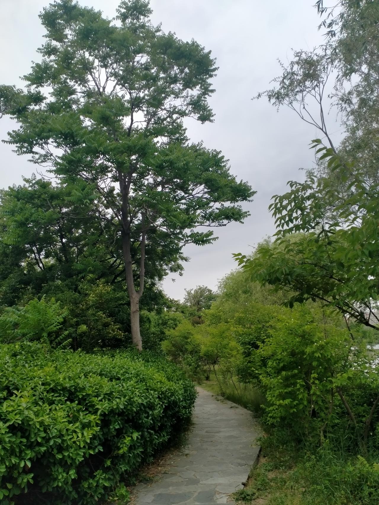 漫步休闲美景随拍。