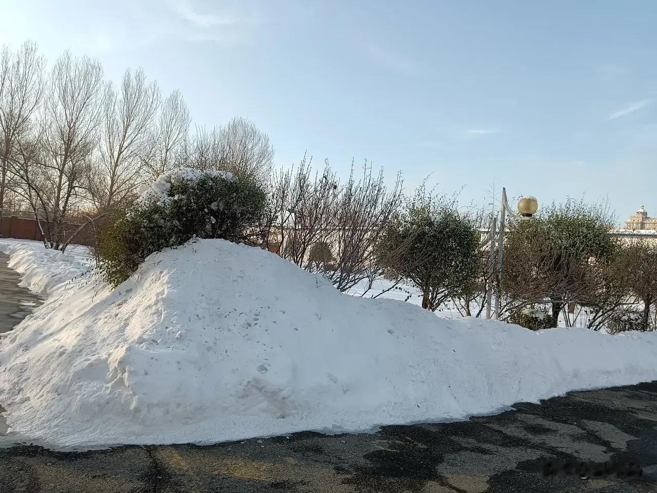 哈尔滨今年初冬不冷，真的不冷！

去年这个时候，正是我们单位各部门辛苦推雪的时候