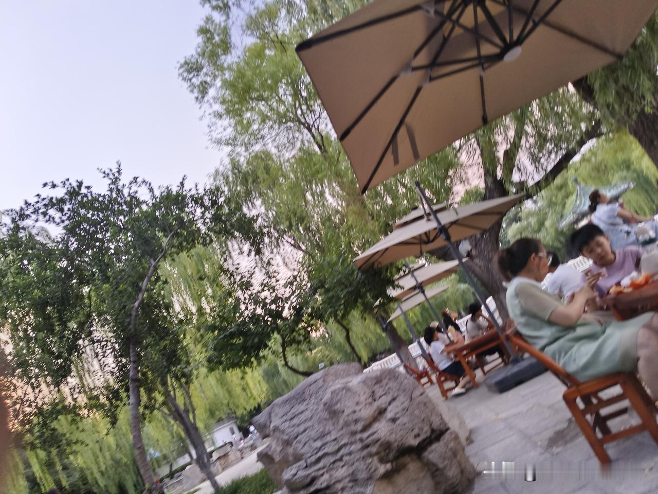 晨练日常
今儿又是大晴天，刚起来就热得不行！熬上稀粥，烙了三张饼，开吃。我吃了一