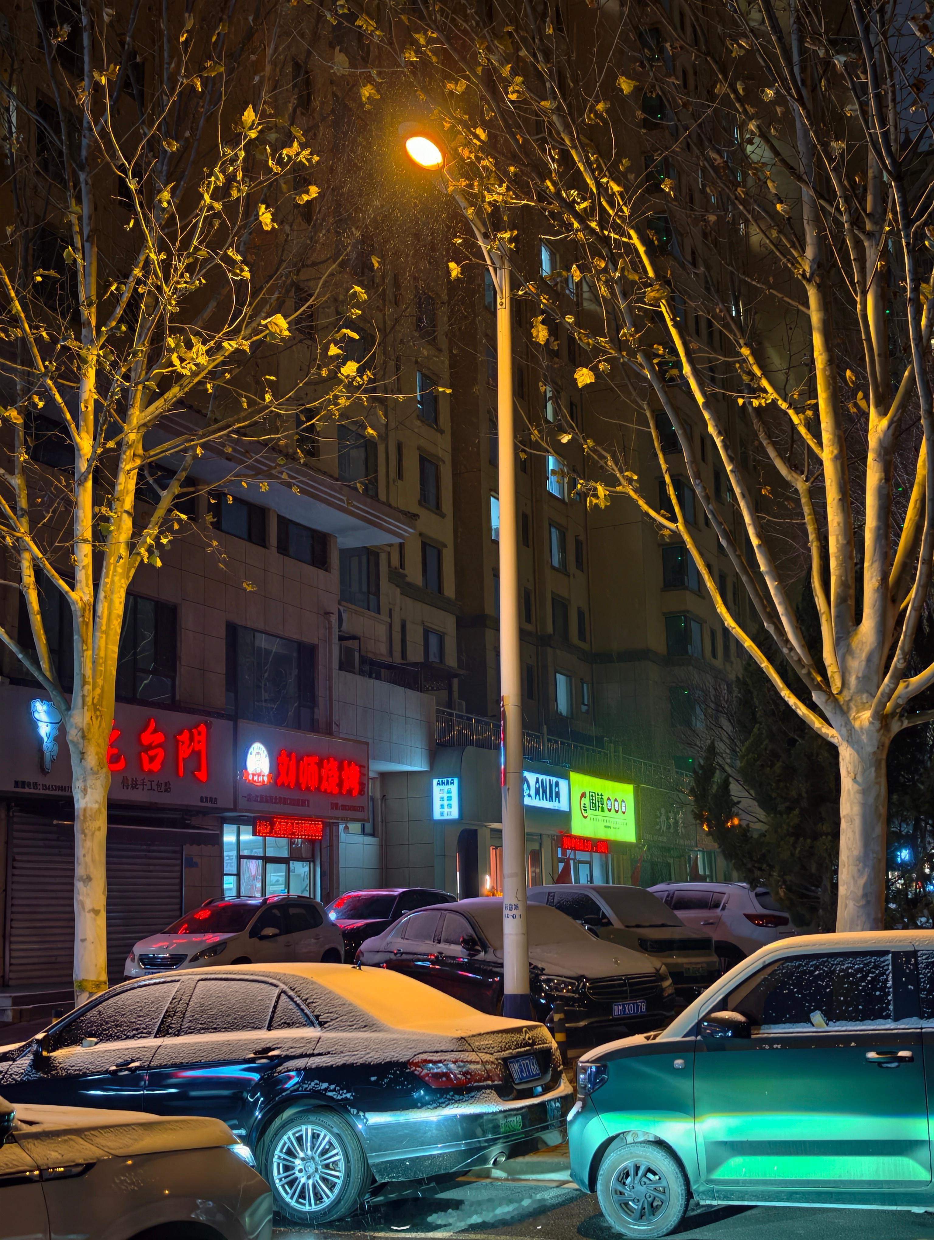 25年的最后一天本来想着出去玩儿呢结果下雪封路这是瑞雪兆丰年啊想着我们这儿也能放