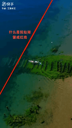 为什么突然加速度游回来了？[what]