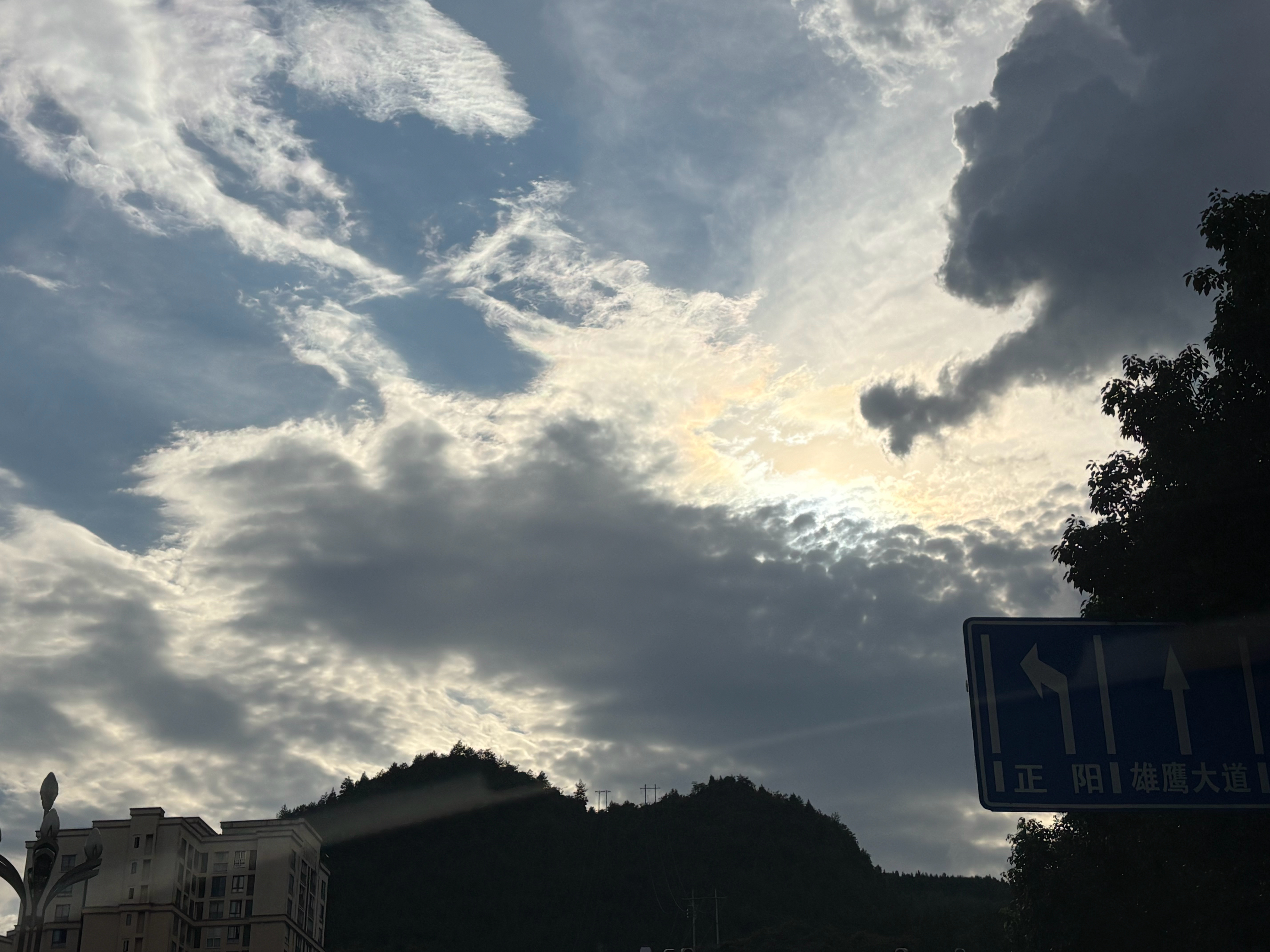好喜欢夏天的☁️ 
