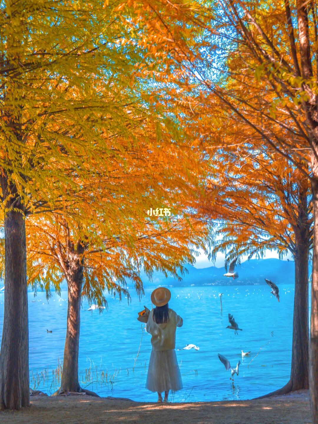 昆明！！你不宣传这些地方你糊涂啊！