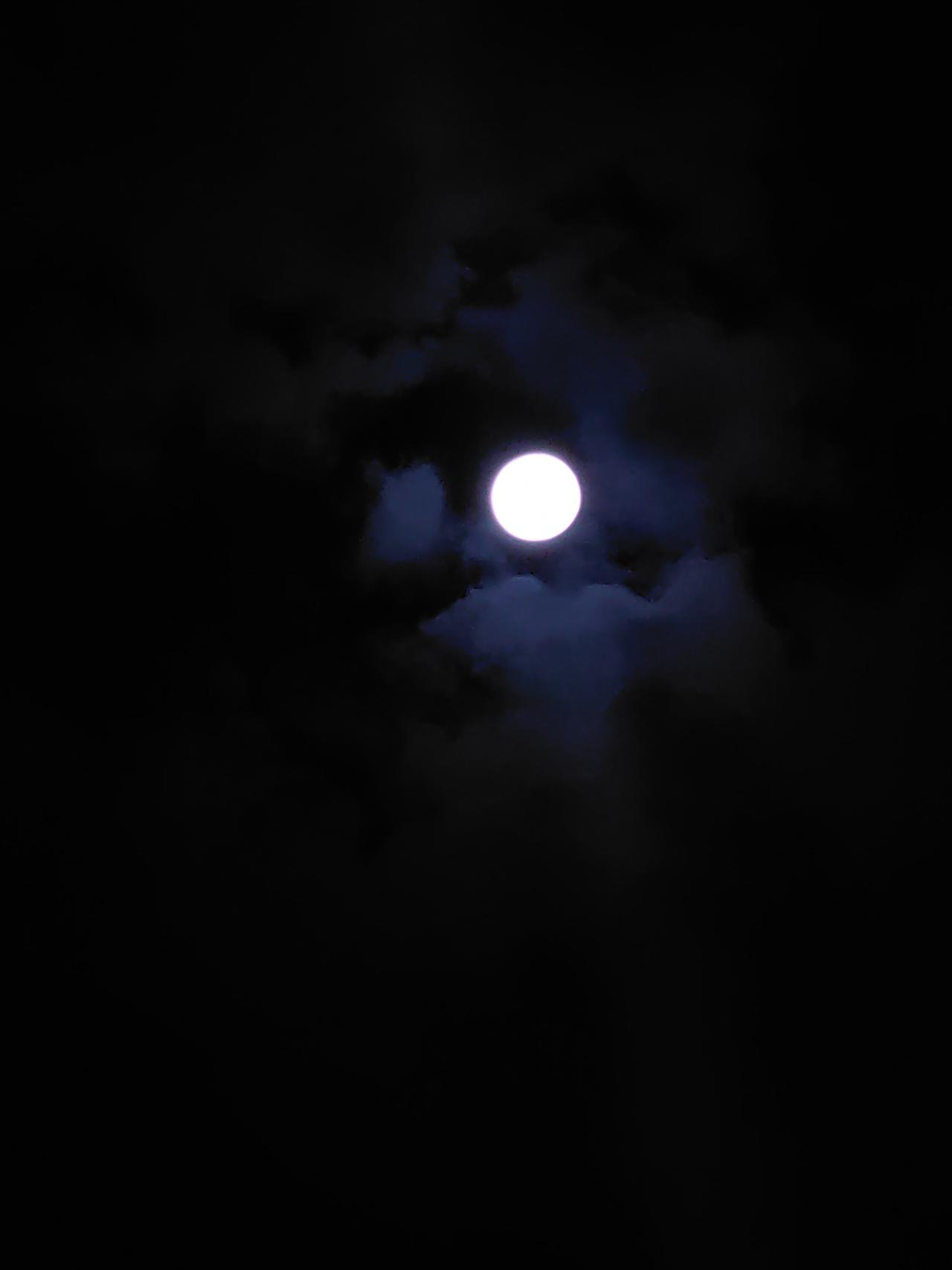 万能生活指南起来上厕所顺便看看月亮🌙。