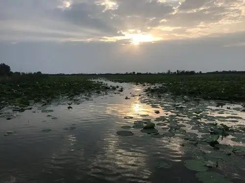 下联：满湖秋怨化幽词。

（图片来自网络）