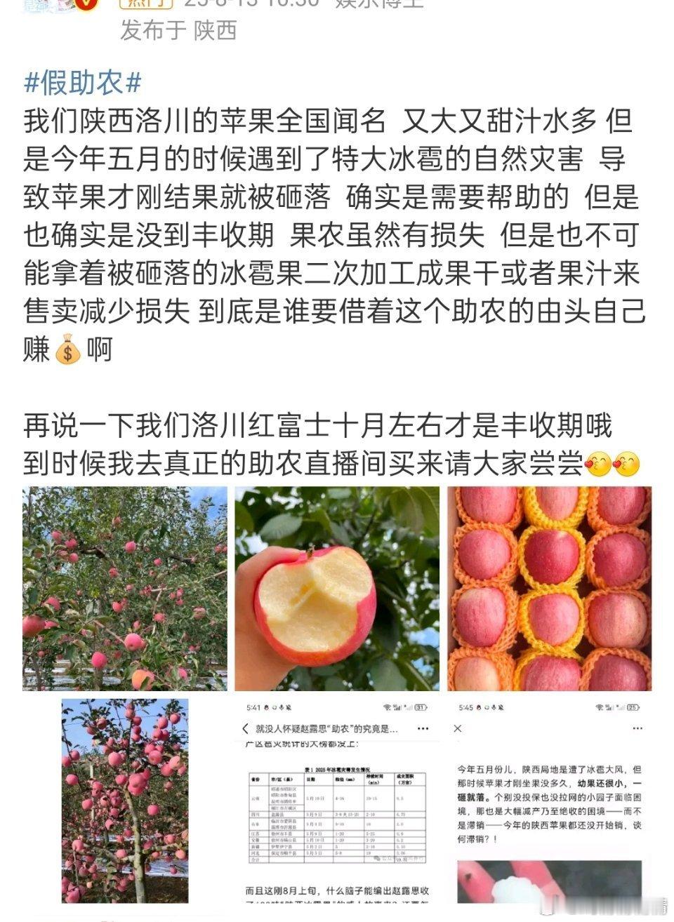 赵露思闺蜜回应助农当地朋友说洛川苹果又大又甜，不可能因为冰雹影响去加工果干或果汁