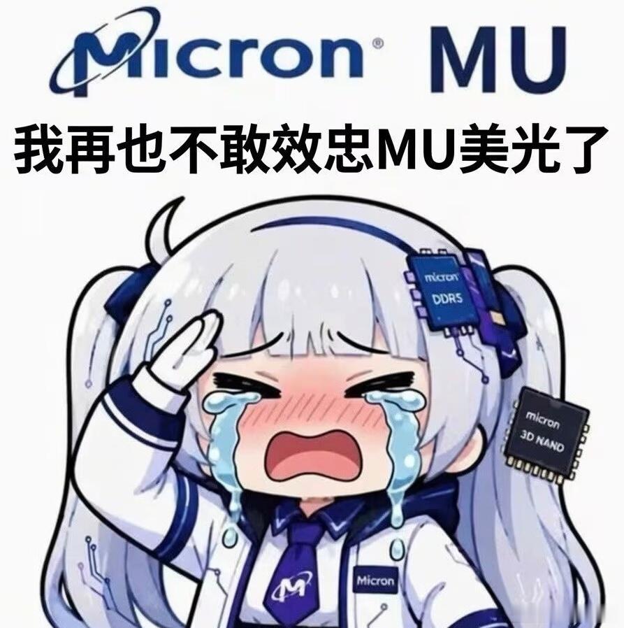 美光是不是在美股赔光的意思 