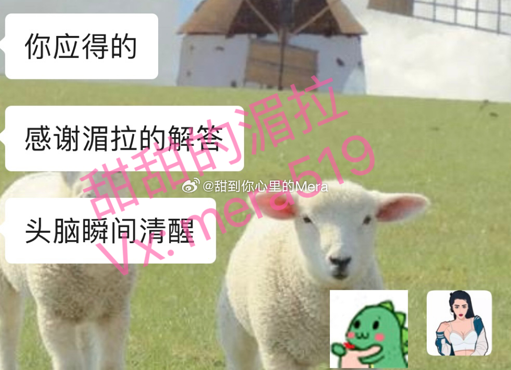 如果不来咨询，很多道理都不知道什么时候才能懂。本就如此，我和思维层次比我高的人交