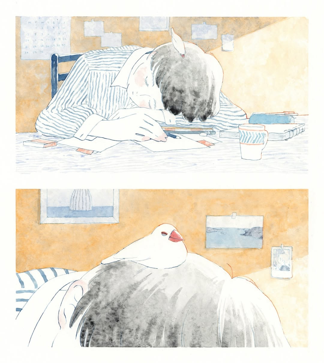 藤巻 佐有梨 