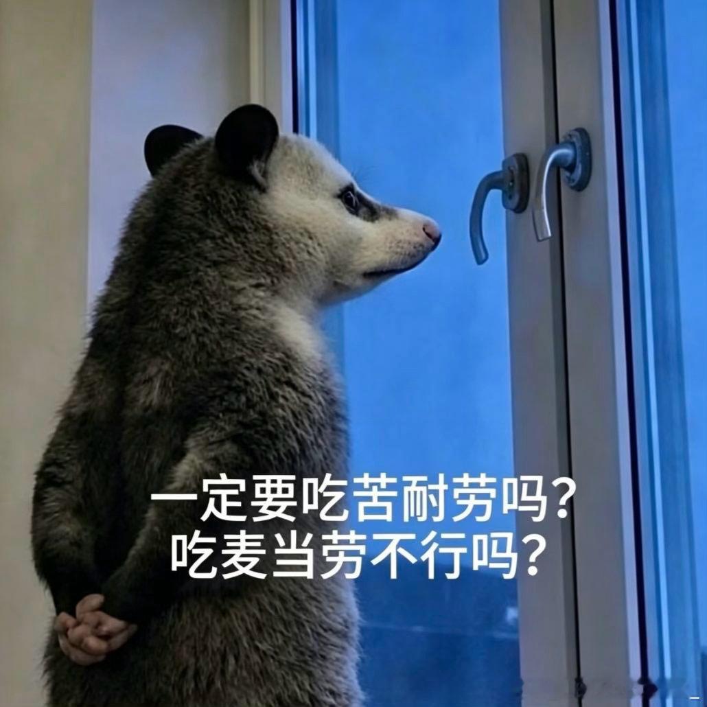周末计划vs实际周末 给自己定下周末自律目标，早起健身提升自己，到头来睡到大中午