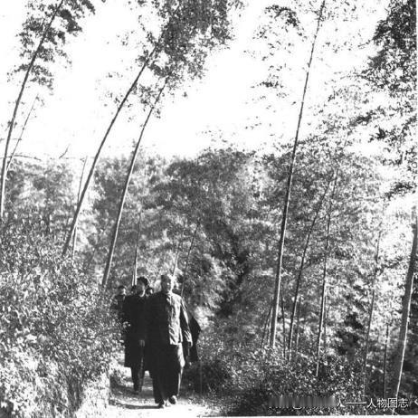 朱德在南昌(1961年)