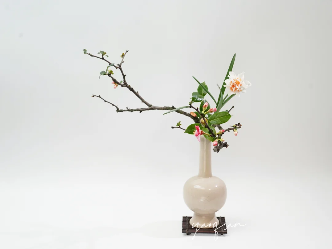 海棠经风雨，不肯辞春光