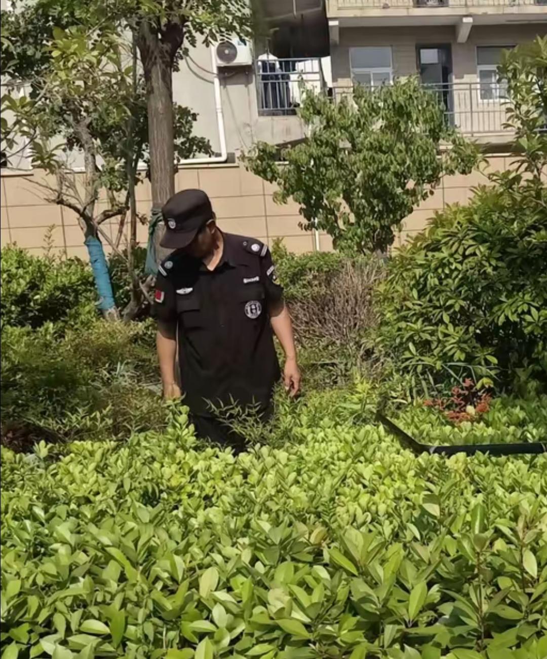 知道为啥都不愿意去小区当保安吗？因为小区人多事杂，不好管理，小区里面的业主他们自