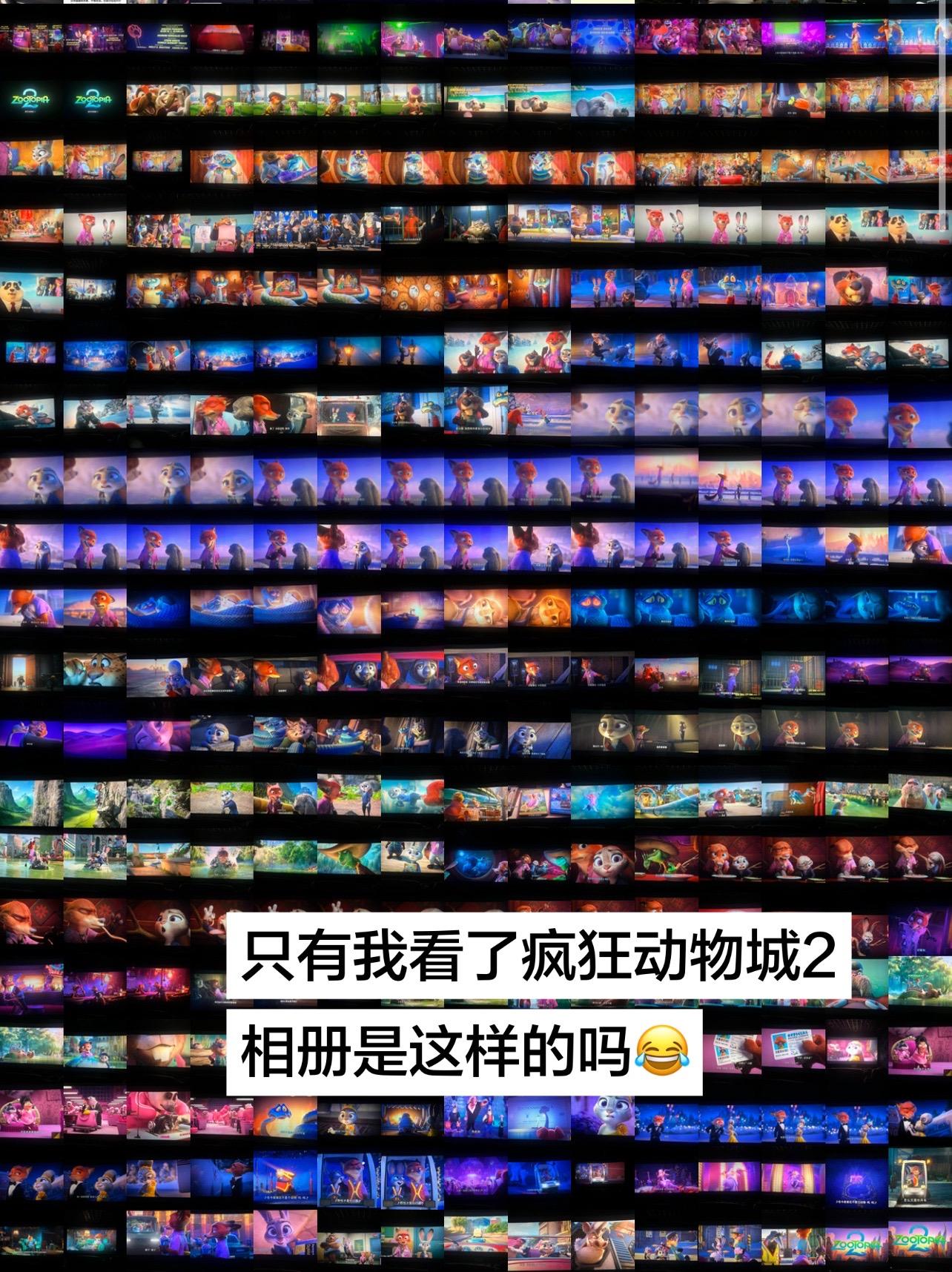 看完看到自己拍的震惊 朋友圈只有三张😂。