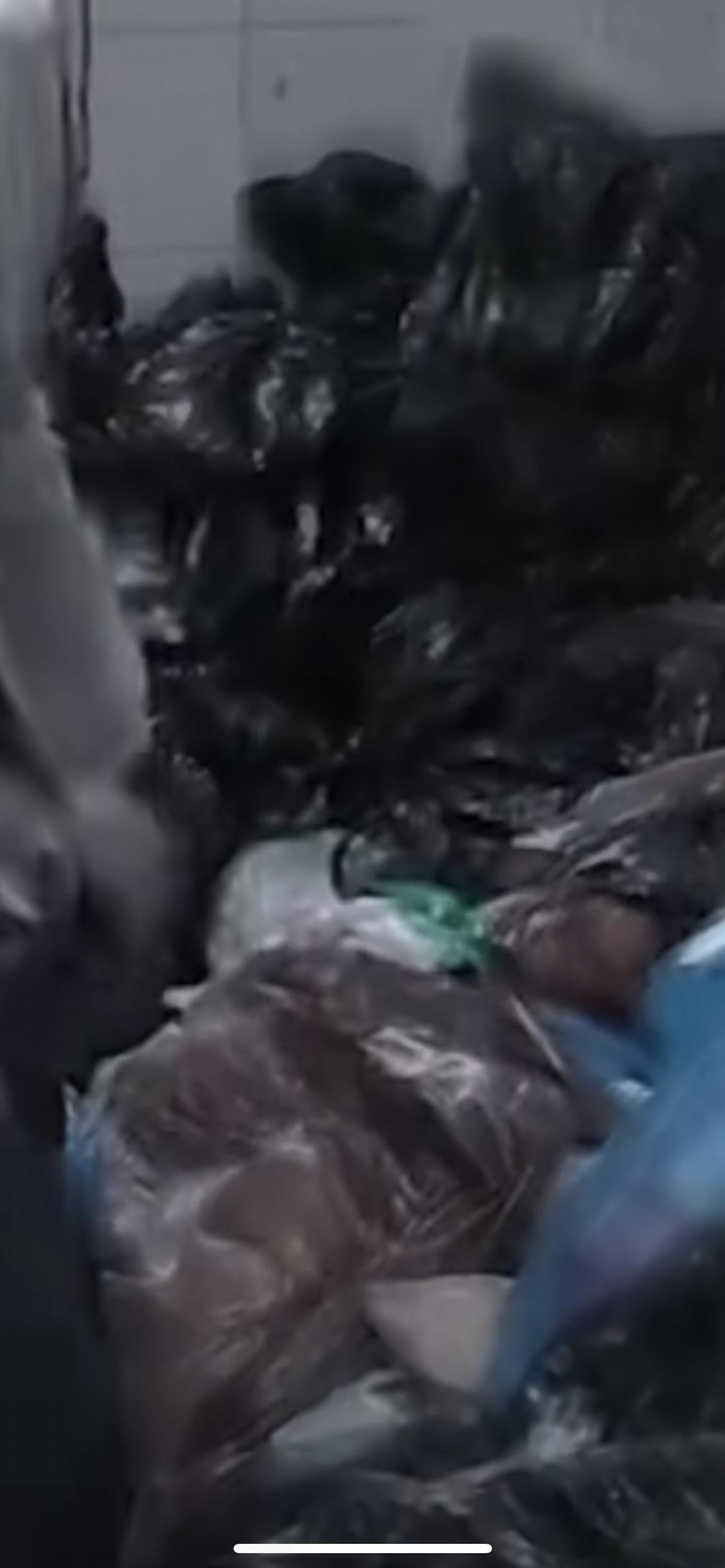 2月15日，广东深圳鸿荣源壹成中心一业主孩子误将10万现金被孩子当垃圾扔掉，物业