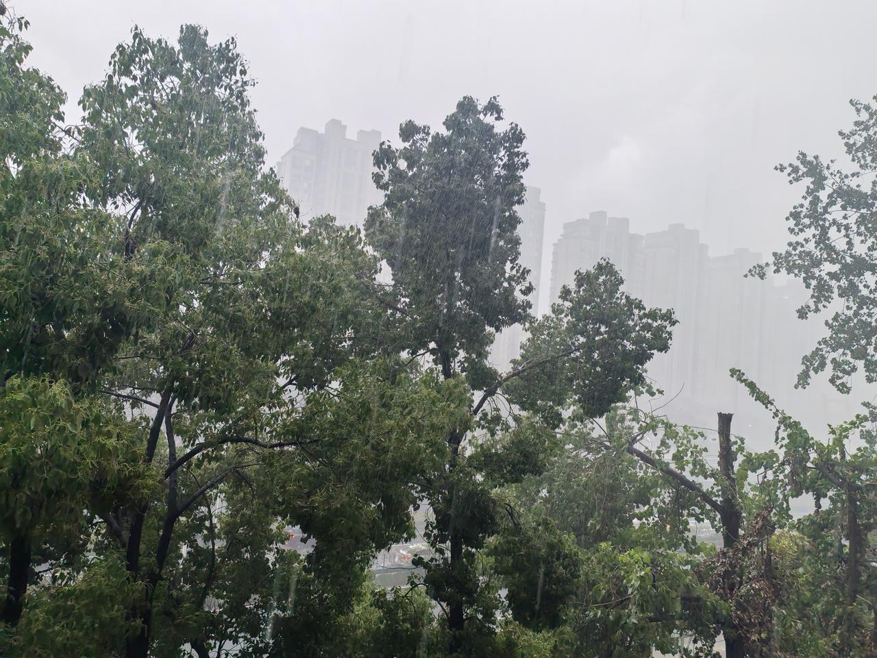 上海今年倒黄梅，今天终于下透了雨
上海闷热天 
从台风巴威对上海的轻微影响结束后