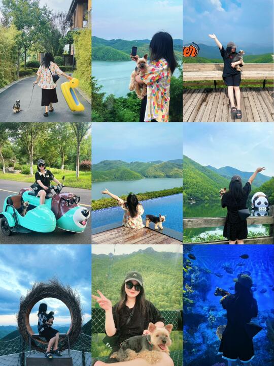 带小狗粗去玩这样拍真的很好看！