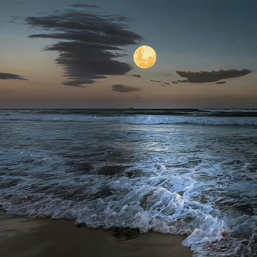 人生的道路上，总是风雨交杂，有风有雨是常态，风雨兼程是状态， 风雨无阻是心态 