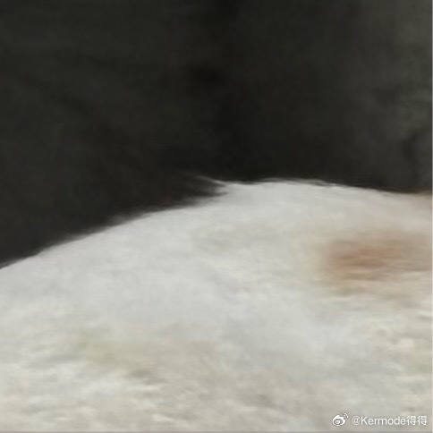 物理（首选）：加热蒸煮/高压（破坏热不稳定毒素）、流水浸泡（去除水溶性毒素）。•