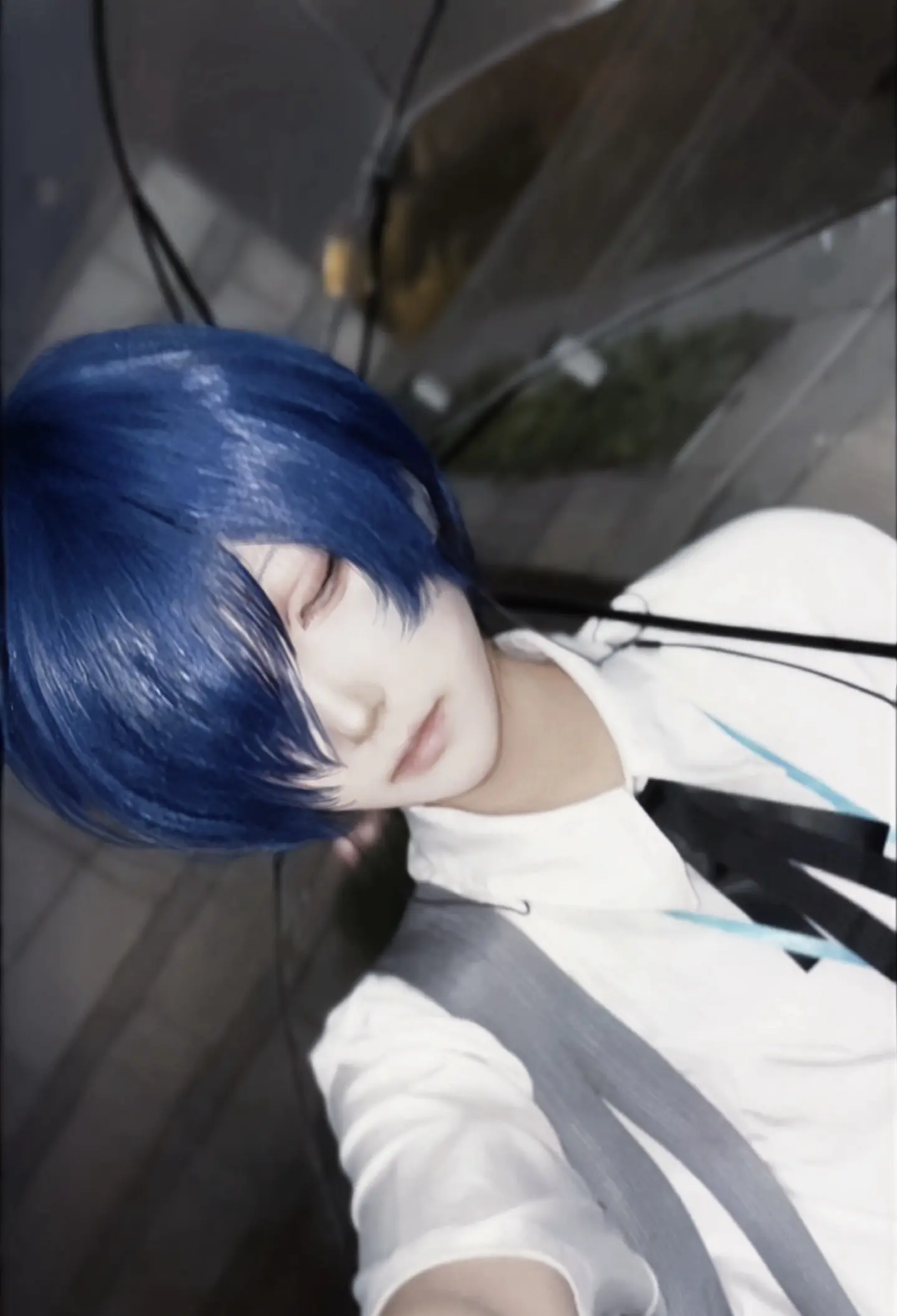 cos 赏月。