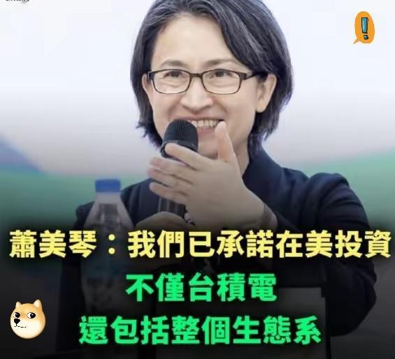 萧美琴火了
承诺搬台积电到美国
岛内炸锅：她是汉奸吗？

台积电要迁到美国？萧美