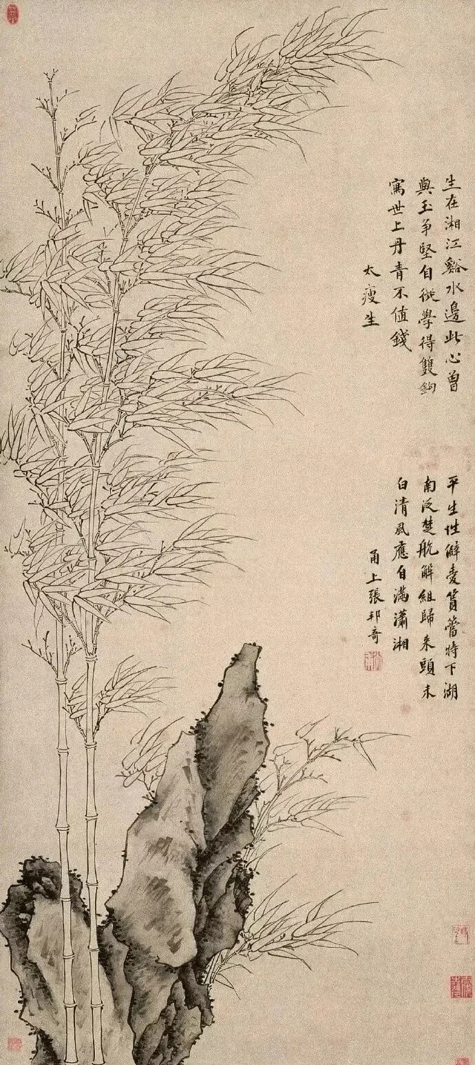 金湜，男，字本清，号朽木居士（无声诗史金湜作枯木居士），又号太瘦生，明朝时期鄞（